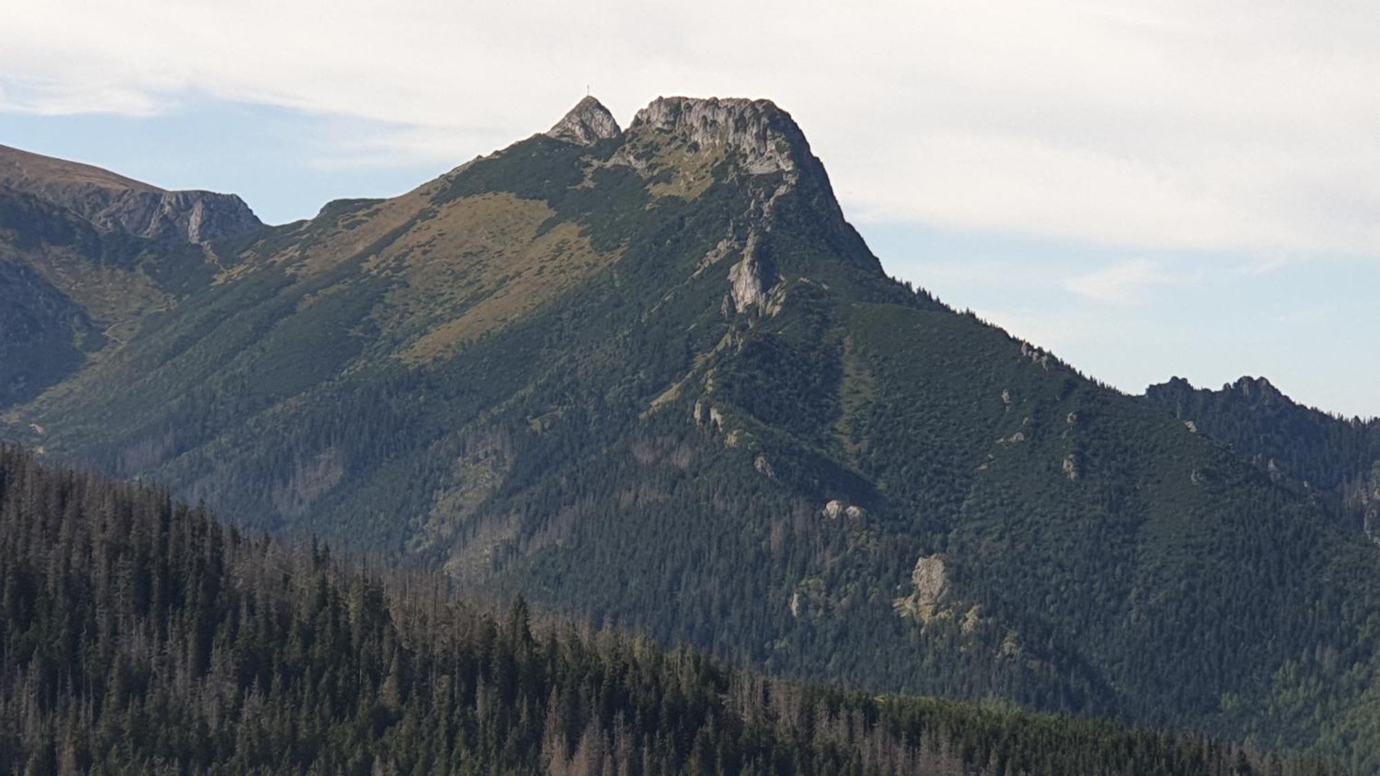 Villa Lobrotno Gazdzina - Goralska Chalupa Na Wylacznosc à Bukowina Tatrzańska Extérieur photo